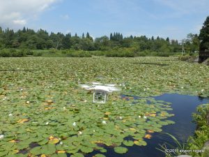 ドローンによる新潟県内での空撮風景